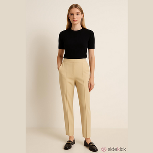 Rachel Zoe Los Angeles, beige nylon blend pleated pull on dress pants size 1X